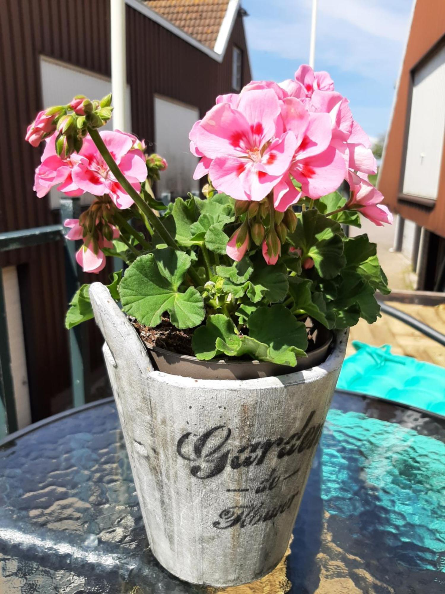 B&B Hulleste Westerland 外观 照片